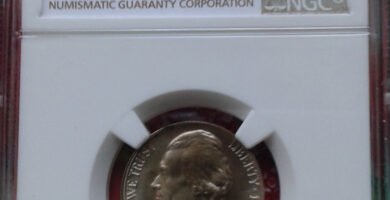 Slabbed Coin Set